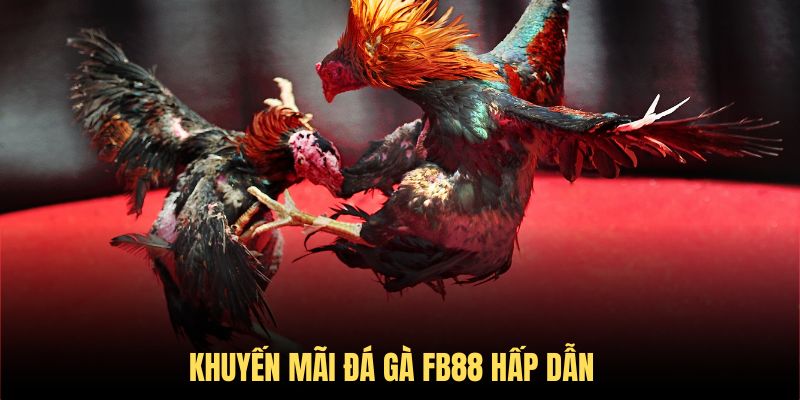 Sân chơi có nhiều ưu đãi hấp dẫn và giá trị
