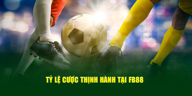 Tỷ lệ cược thịnh hành tại Fb88