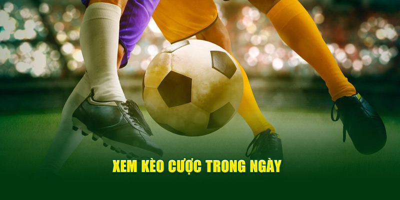 Xem kèo cược trong ngày